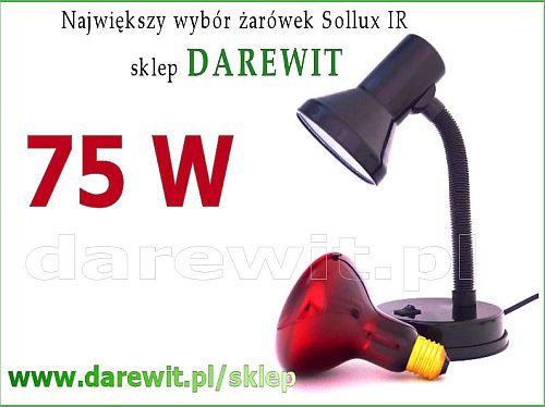 Lampa Sollux 75w Kosmetyka Dermatologia Zestaw Do Nagrzewania Twarzy I Szyi Darewit Pl