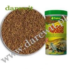 Ochotka larwa pokarm żółwi wodnych Bloodworms