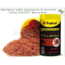 larwa-ochotki-dla-zołwia-wodno-ladowego-tropical-blood-worms