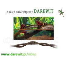 Exo Terra Jungle Vine LIANY