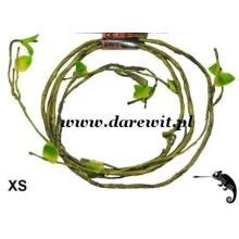 Liana do terra, rozm. XS długość 150cm średnica 0,5cm Liana do terra, rozm. XS długość 150cm średnica 0,5cm
