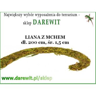  Liana z rosnącym mchem 200cm Ø 1,5cm