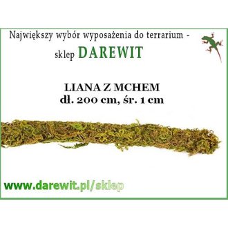 Liana z mchem do terrarium długa 200cm Ø 1cm