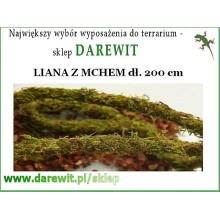 Grube Liany z mchem do terrarium Grube Liany z mchem do terrarium