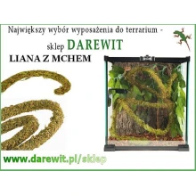liana z mchem Repti Zoo liana z mchem Repti Zoo