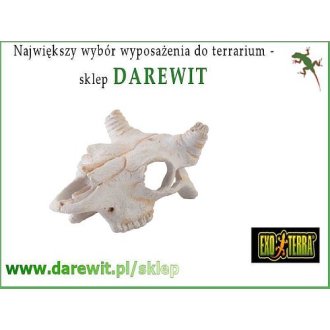 Mała kryjówka EXO-TERRA Czaszka Buffalo Skull