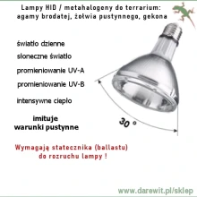 Lampy-HID-metahalogeny-do-terrarium-agamy