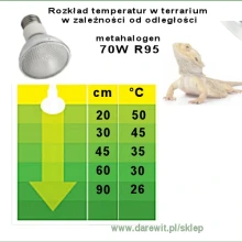 Metahalogen 70W E27 R95 lampa do dużego i wysokiego terrarium