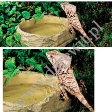 Exo Terra Miseczka DUŻA na wodę dla gadów 23x18x5,5cm