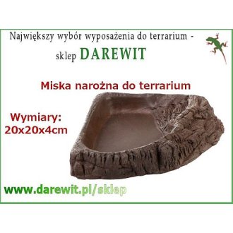 Miseczka narożna na wodę do terrarium SKAMIENIAŁE DREWNO 20x20x4