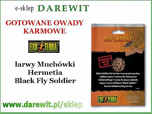 Muchówka Hermetia gotowane larwy BSF LARVAE 15g pokarm EXO TERRA