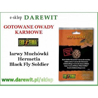 Muchówka Hermetia gotowane larwy BSF LARVAE 15g pokarm EXO TERRA 