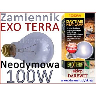 Żarówka neodymowa dzienna 100W E27 UVA do terrarium i roślin