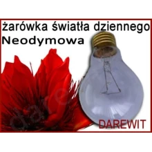 Żarówka dzienna do terrarium Żarówka dzienna do terrarium