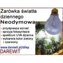Neodymowa żarówka do terrarium kameleona Neodymowa żarówka do terrarium kameleona