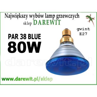 Niebieska żarówka do lamp sollux PAR38 E27 80W Blue