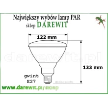 Dane niebieskiej żarówki
