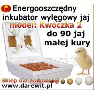 Niezawodny INKUBATOR do jaj KWOCZKA 2 