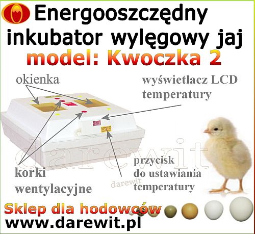 niezawodna wylęgarka jaj - budowa wylęgarki do jaj - schemat Darewit