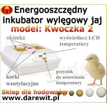 Budowa inkubatora kwoczka 2