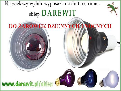 Oprawa z uchwytem do statywu