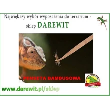 Bezpieczna pinceta dla gadów Repti-Zoo