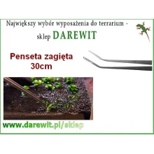 pęsety do terrarium szklanego roślin