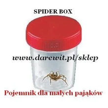  Pojemnik hodowlany dla małych pająków