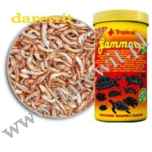 Kiełż zdrojowy dla żółwia