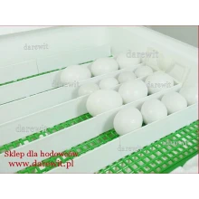 jak układać jajka w inkubatorze Kwoczka