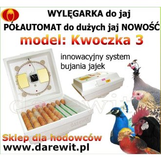 WYLĘGARKA lęgowa do jaj KWOCZKA 3 do wszystkich gatunków jaj ! KLUJNIK