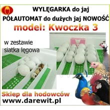 pÓŁAUTOMATYCZNA WYLĘGARKA -KLUJNIK DLA KAŻDEGO JAJKA PTASIEGO
