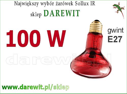 PROMIENNIK PODCZERWIENI rubinowy, żarówka Sollux 100W R80 PROMIENNIK PODCZERWIENI żarówka Infrared Sollux 100W R80