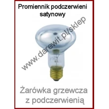 Day Light 100W Lustrzanka satynowana Terrarex. Światło dnia DAYLIGHT