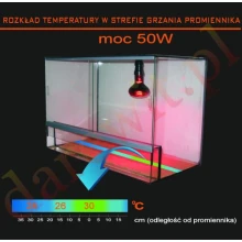 Jak grzeje 50W żarówka w terrarium