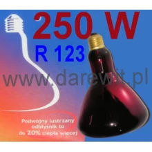 Żarówka kwoka 250W do kurnika