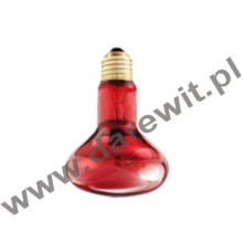 Do terrarium na ogrzanie nocą 50W żarówka