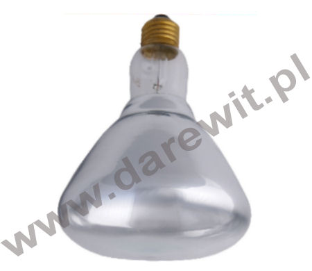 lampa żarówka grzewcza typ kwoka IR - sklep darewit