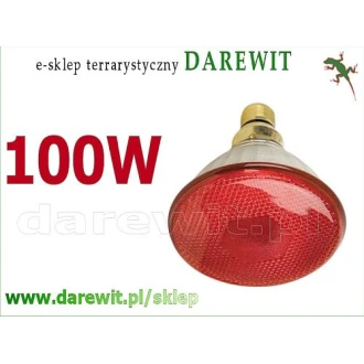 Promiennik podczerwony PAR 38 E27 100W jak Philips, żarówka w szkle zbrojonym