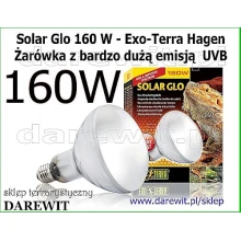 Lampa UV terrarium z agamą