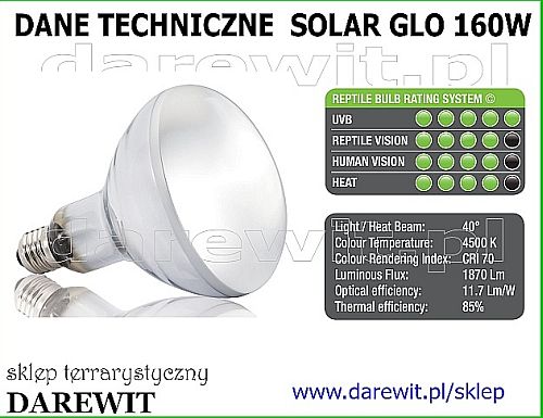 żarówka Solar Glo z UVB - darewit Warszawa