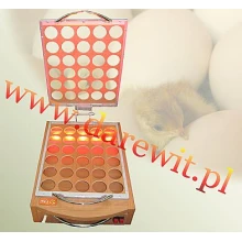 WYGODNA I WYDAJNA LAMPA DO PRZEŚWIETLANIA JAJEK