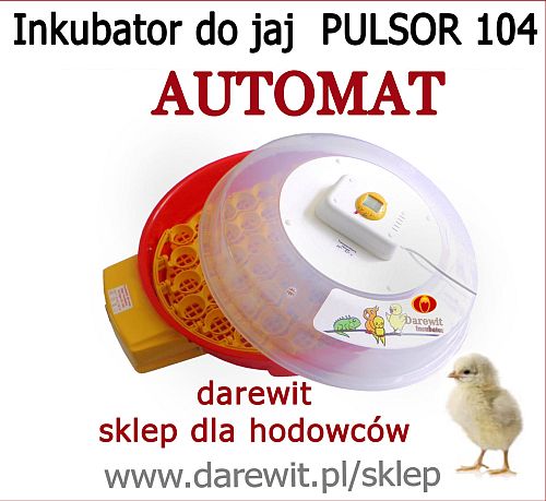 Automatyczny inkubator jaj drób domowy - darewit