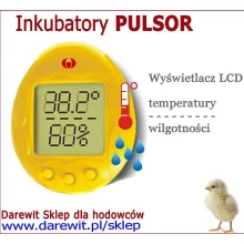 inkubator-do-klucia-jaj-agamy-zolwia-weza