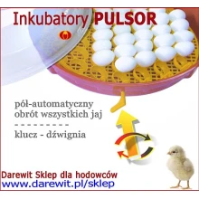 wylegarka-jaj-polautomatyczny-obrot-pulsor-203