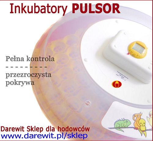 wylęgarka pulsor 203 - darewit