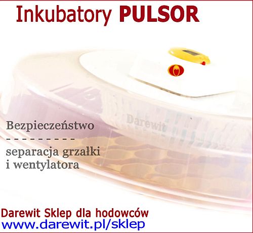wentylator inkubatora Pulsor - darewit Warszawa