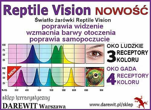 Reptile Vision Exo Terra - jak widzi oko gada - darewit