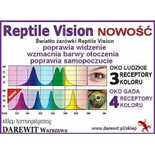 oświetlenie gadów
