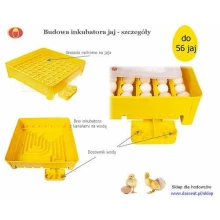 budowa inkubatora jaj / wylęgarki